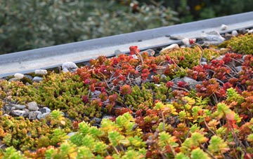 the cost of Bowness On Windermere green roof installation