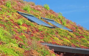 Bowness On Windermere living roof systems